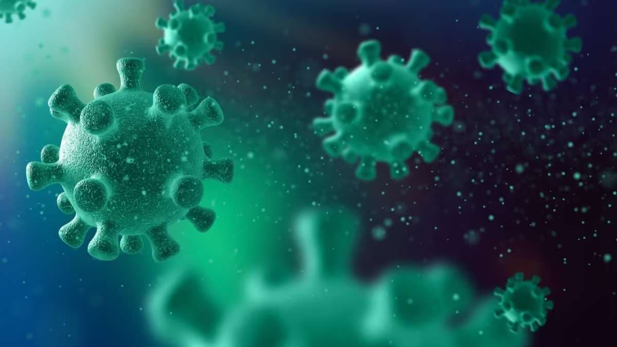 Corona JN 1