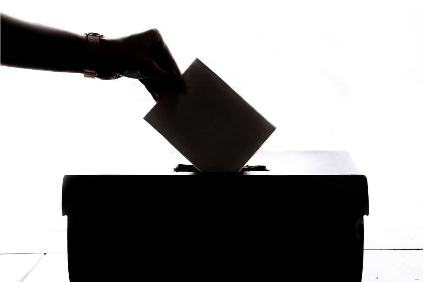 An NRI can vote through the streamlined online process