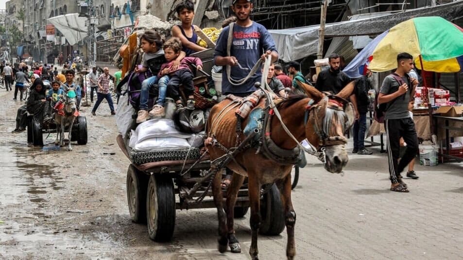 Thousands fled northern Gaza on May.14 as renewed shelling pounded areas where Israel alleges Hamas militants have regrouped.