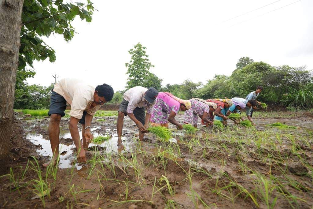 ખેતરમાં પાકનું વાવેતર કરી રહેલા ખેડૂતો
