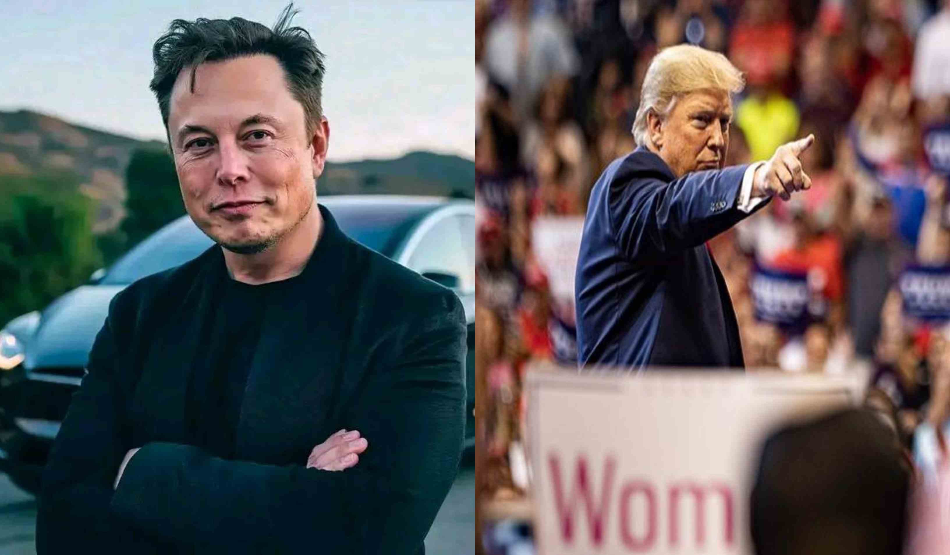 Musk has grown increasingly friendly with Trump over the course of the 2024 US election.