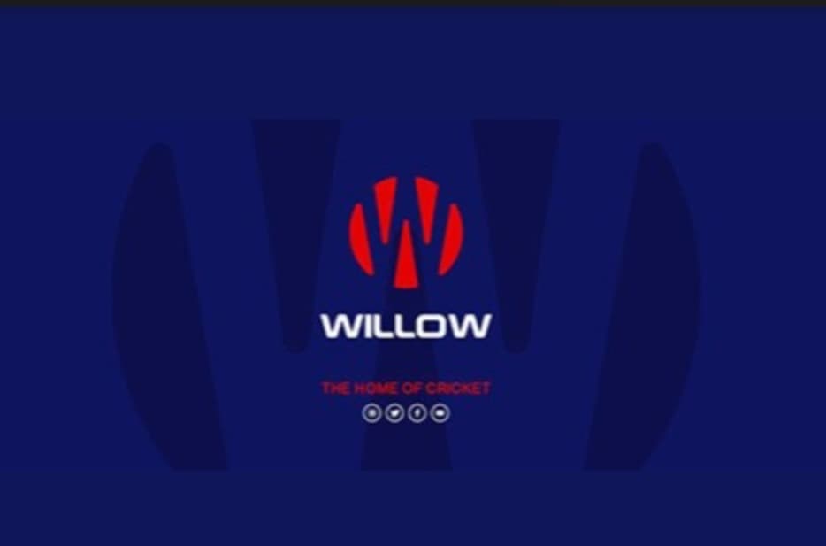 Willow TV channel logo