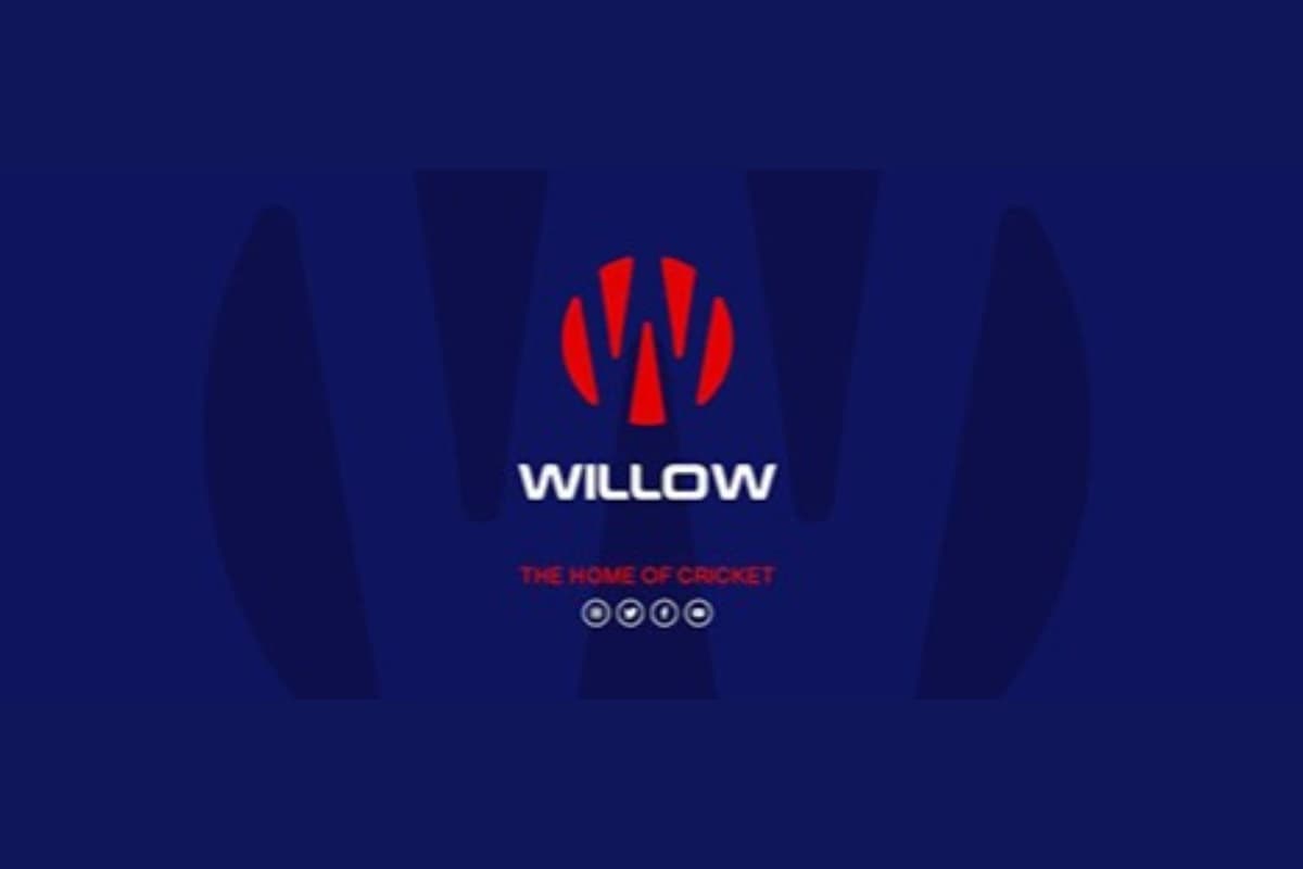 Willow TV channel logo
