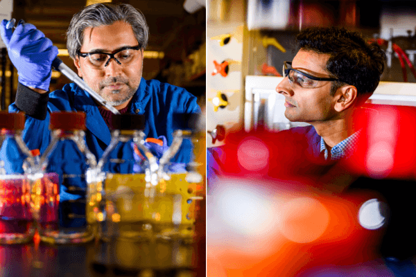 Avinash Manjula-Basavanna and Neel S. Joshi