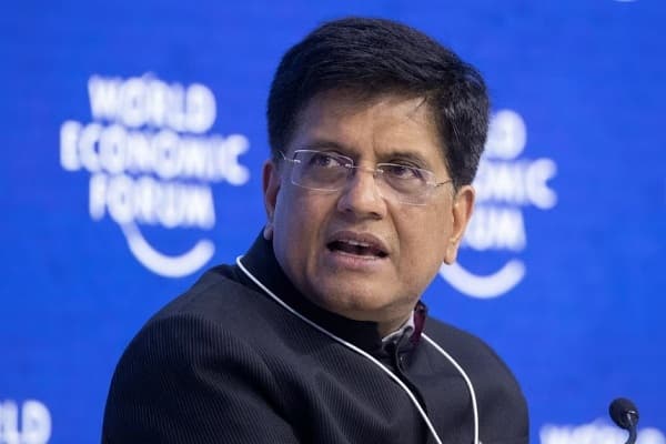 भारत के वाणिज्य मंत्री पीयूष गोयल।