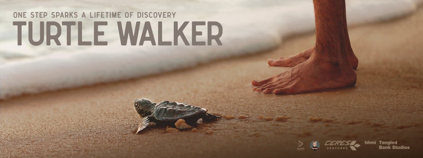 Turtle Walker won the Grand Teton Award at the Jackson Wild Media Awards 