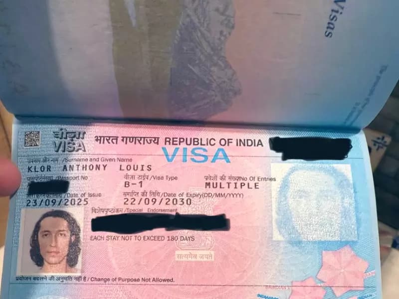 लुईस को जारी किए गए वीजा की तस्वीर