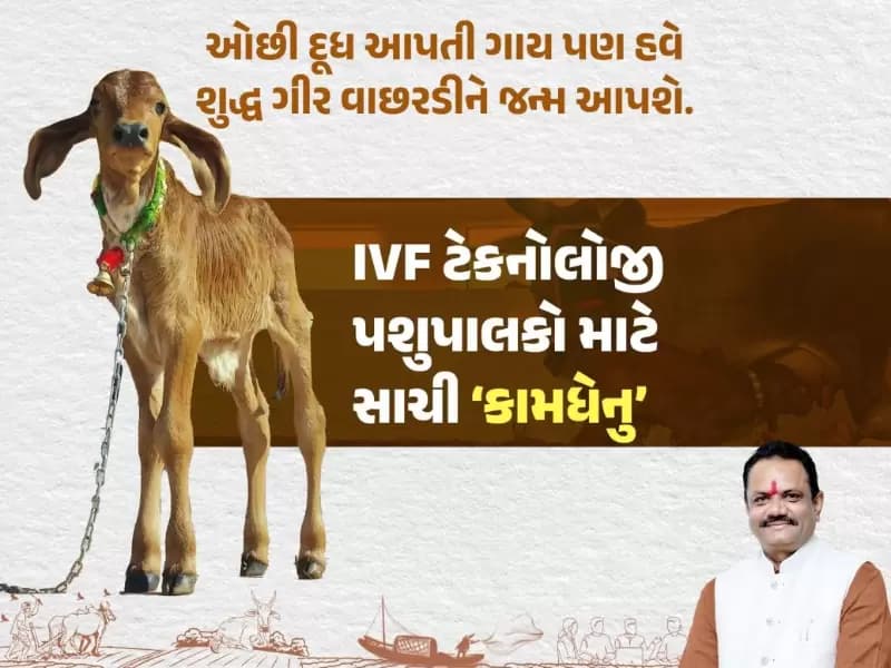 રાજ્યના કૃષિ અને પશુપાલન મંત્રી જીતુ વાઘાણીએ શેર કરેલ પોસ્ટ