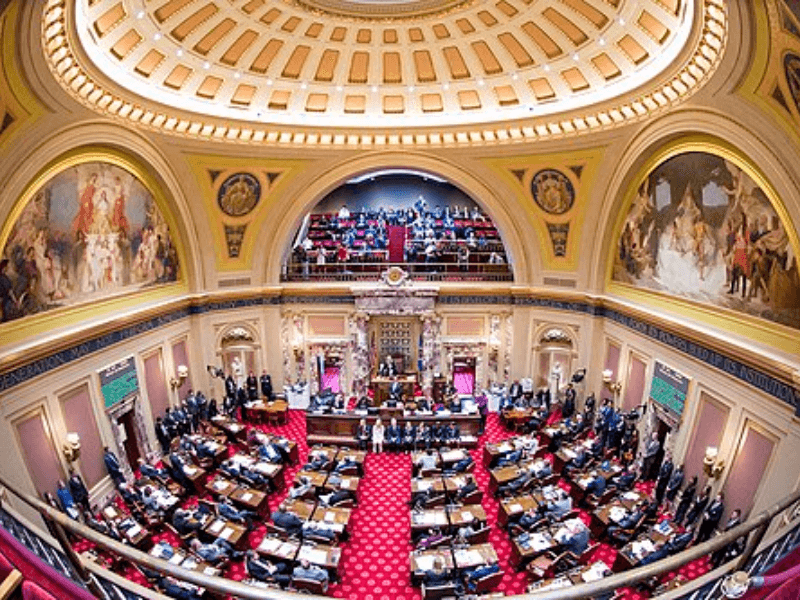 Minnesota Senate