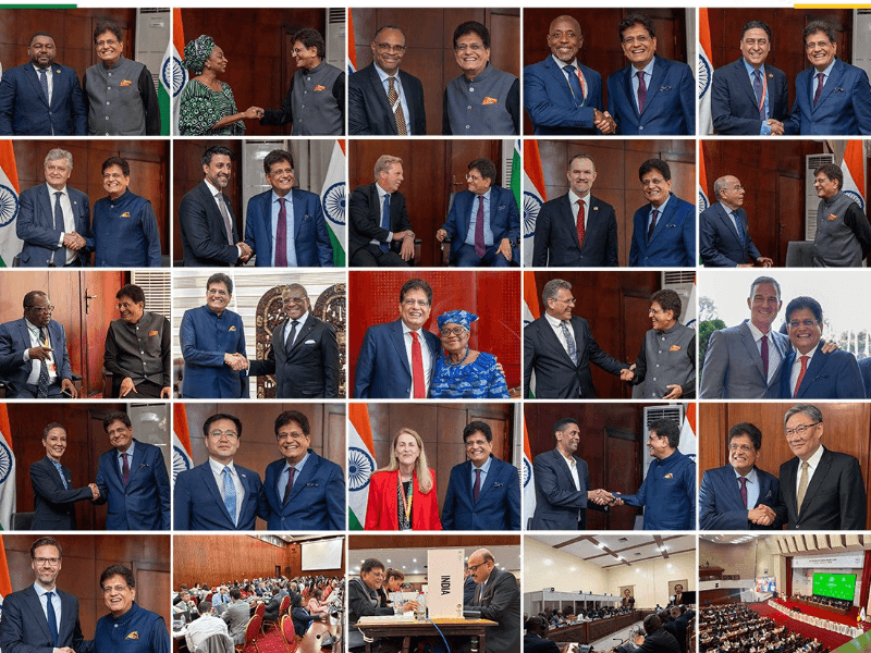 Commerce and Industry Minister Piyush Goyal 