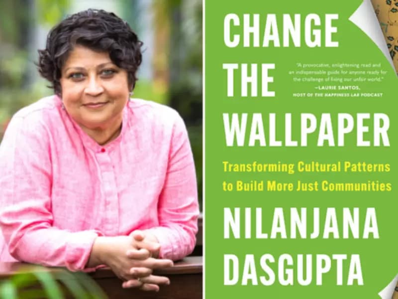 Nilanjana Dasgupta/ Book's cover