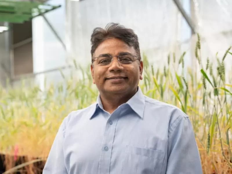 Rajeev Varshney