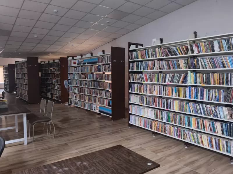 View of the library from inside.