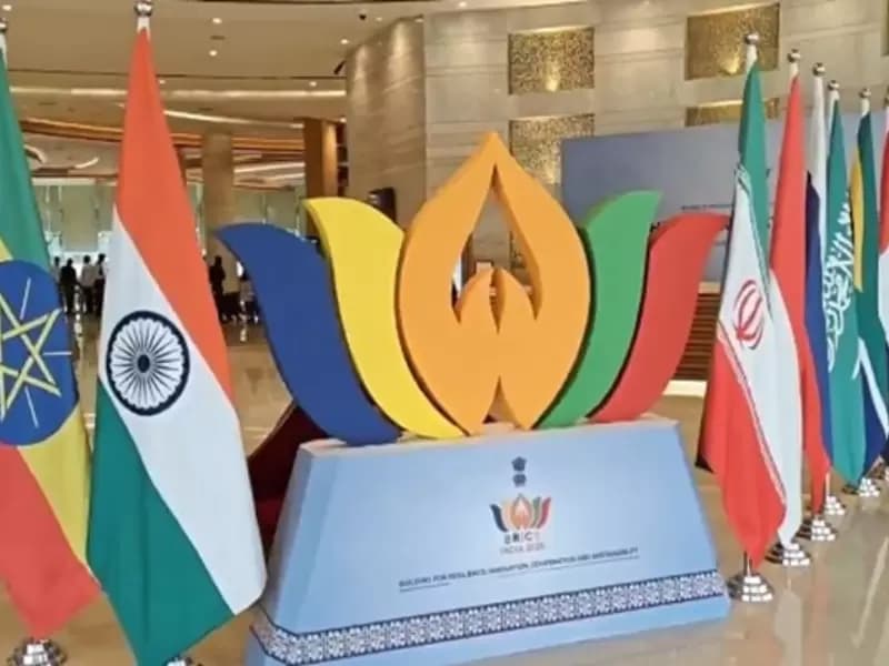 यह बैठक चार दिवसीय ब्रिक्स स्वास्थ्य मंत्रिस्तरीय बैठक के उद्घाटन दिवस पर आयोजित की गई।