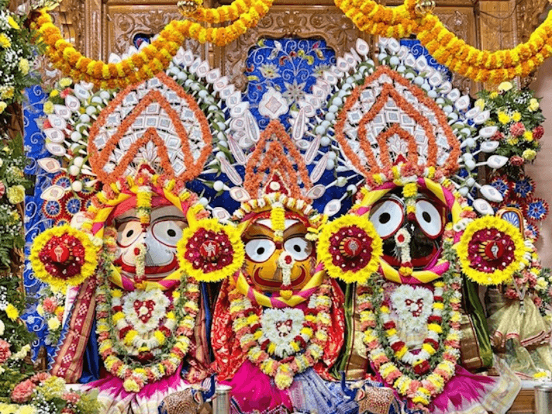 Glimpses of the Ratha Yatra