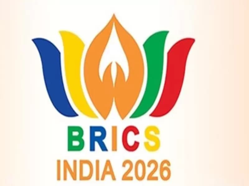  BRICS 