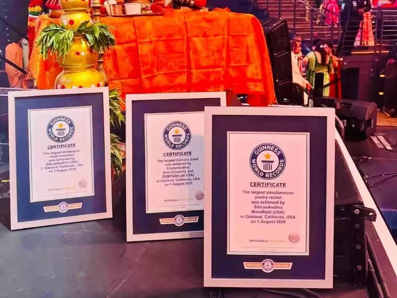 Guinness World Record certificates