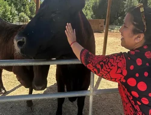 गौशाला में आरती