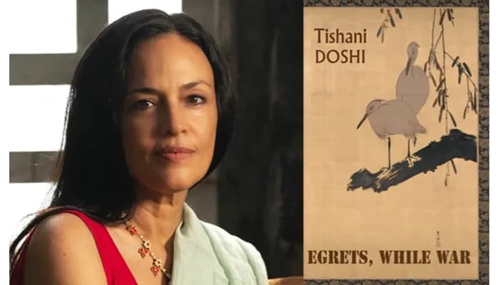 तिशानी 