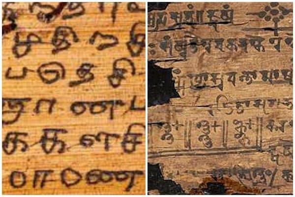 Differences in the northern and dravidian scripts are due to the variance in their climatic conditions