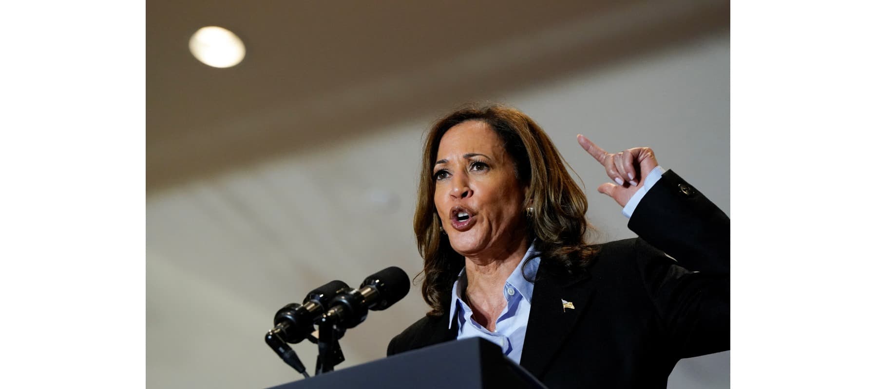 Democratic presidential nominee and U.S. Vice President Kamala Harris.