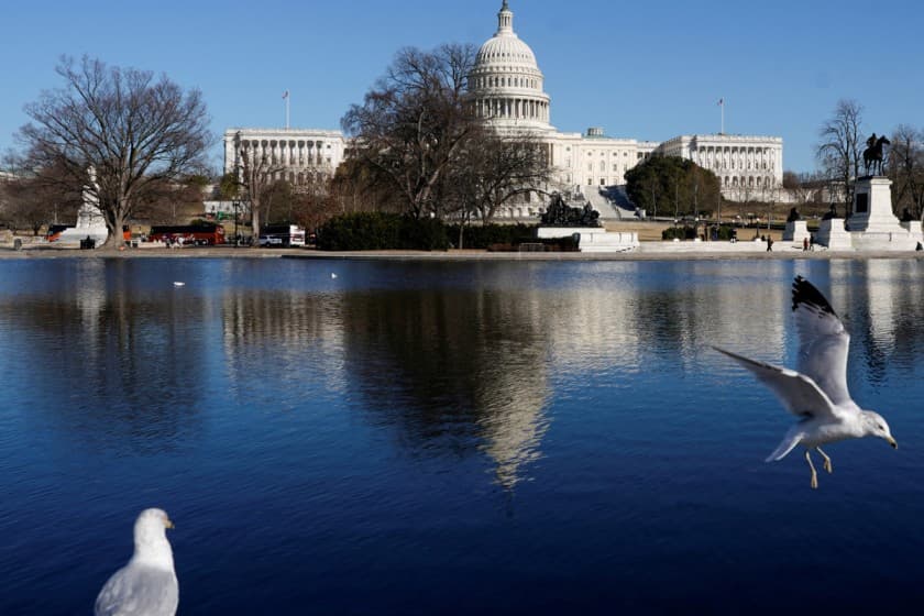 A bird flies near the U.S. Capitol building in Washington, D.C., U.S., February 25, 2025.