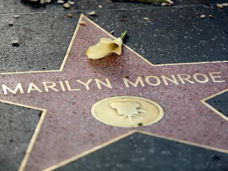 FILE PHOTO: A flower lays atop the Hollywood Walk of Fame star for the late actress Marilyn Monroe in Hollywood August 5, 2012. A memorial service was held in Los Angeles to mark the 50th anniversary of Monroe's death.