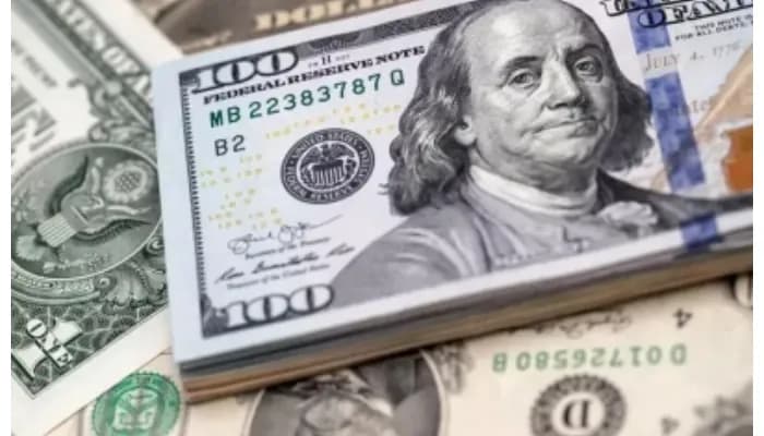 Remittances to India rose 2.5 times in decade to $151 billion: UN agency